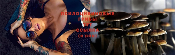 гашишное масло Ладушкин