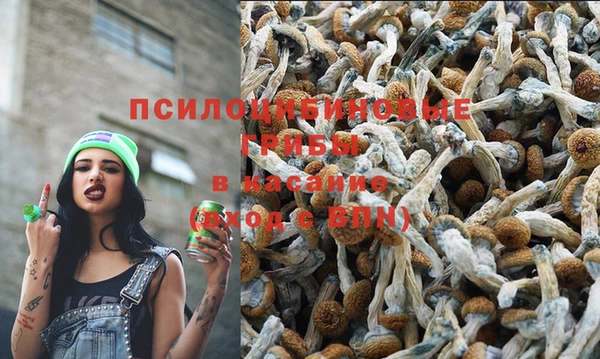 гашишное масло Ладушкин