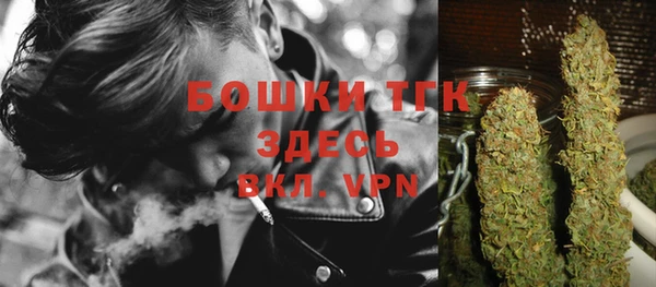 гашик Лагань