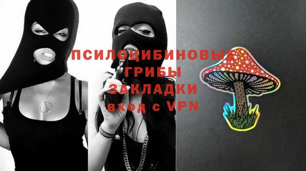 МДМА Анжеро-Судженск
