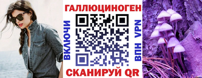 Псилоцибиновые грибы Psilocybine cubensis  Наволоки 